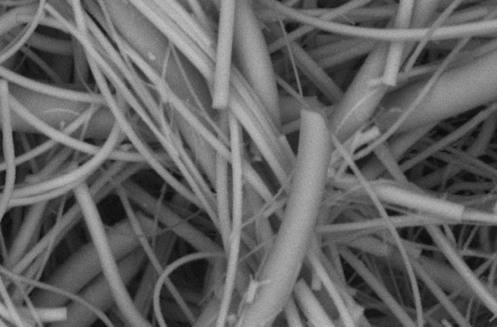 SEM image of SERS fibres
