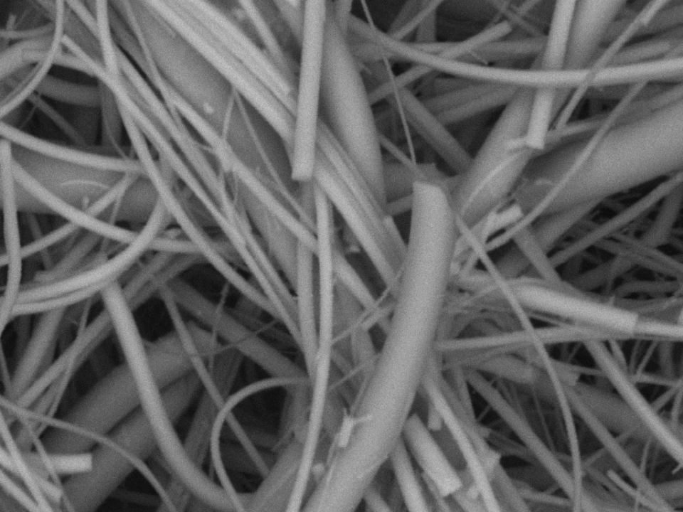 SEM image of SERS fibres
