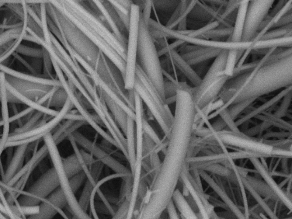 SEM image of SERS fibres